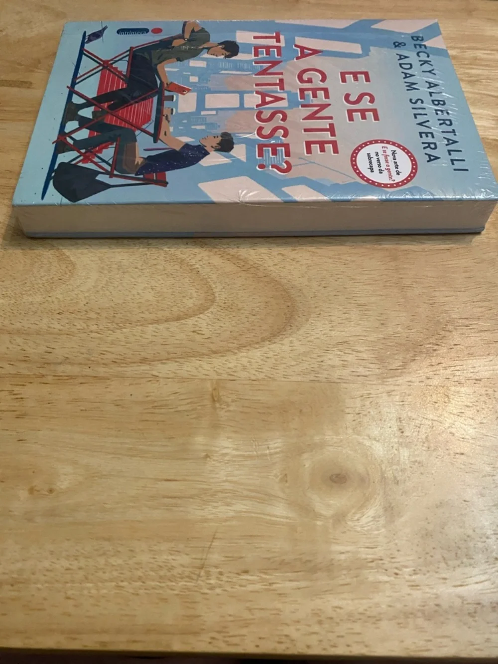 E Se A Gente Tentasse? Becky Albertalli & Adam Silvera Paperback Book
